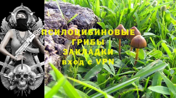 кокс Абдулино