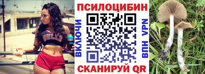 Псилоцибиновые грибы Cubensis Назрань