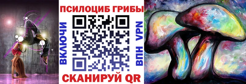 Псилоцибиновые грибы мицелий  Назрань 